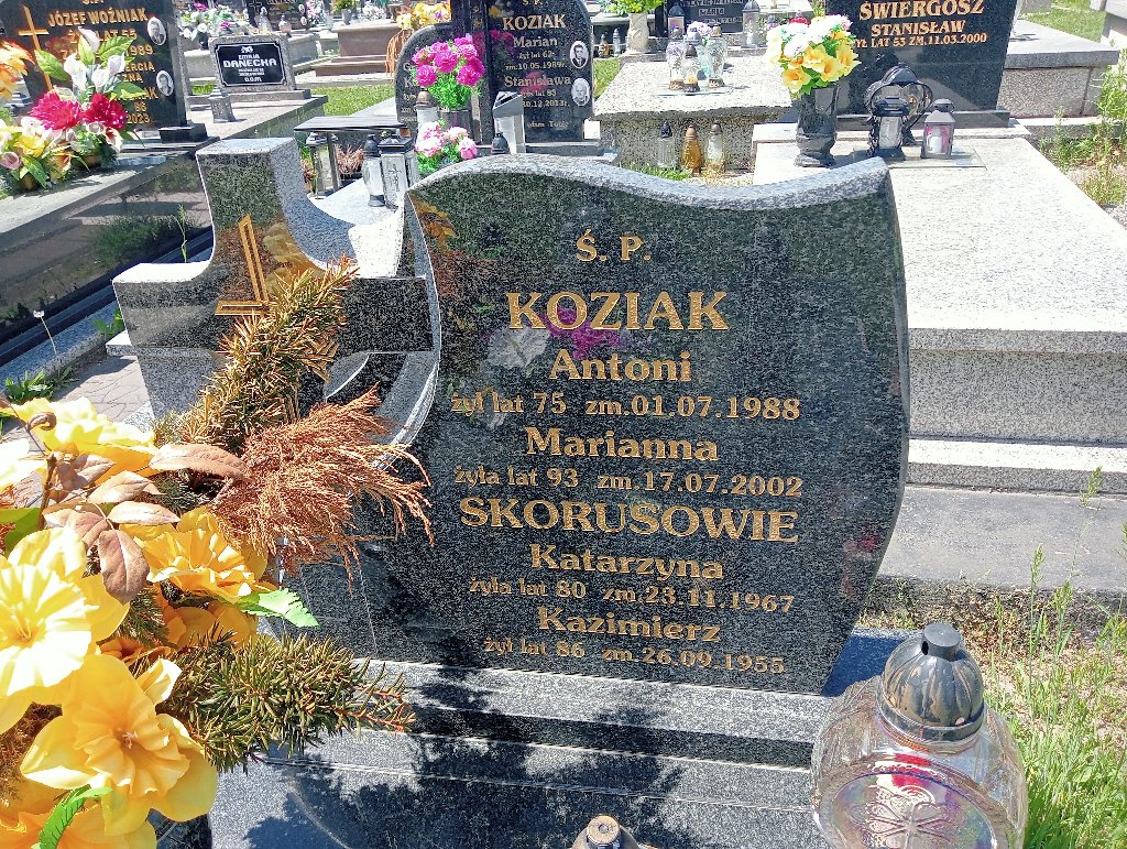 Zdjęcie grobu